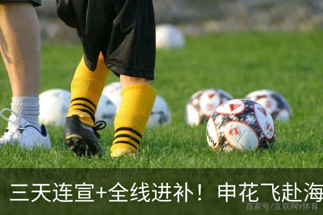 三天连宣+全线进补！申花飞赴海口启动新赛季